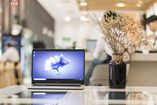 一次跨界的尝试 荣耀 magicbook 真机图赏
